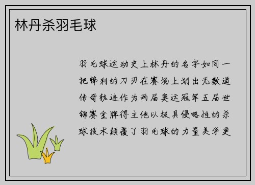 林丹杀羽毛球