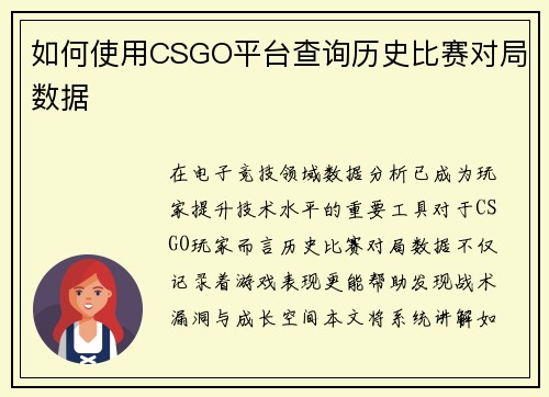 如何使用CSGO平台查询历史比赛对局数据