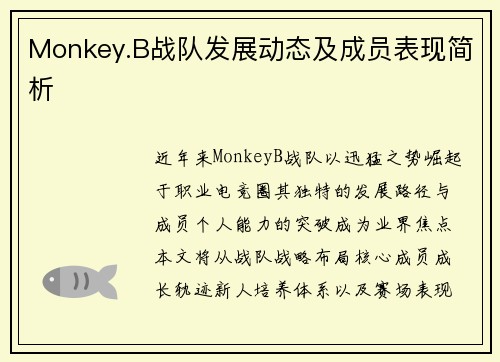 Monkey.B战队发展动态及成员表现简析