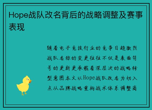 Hope战队改名背后的战略调整及赛事表现